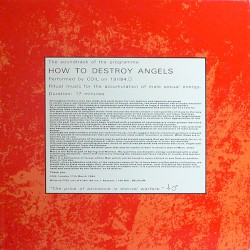 How to Destroy Angels