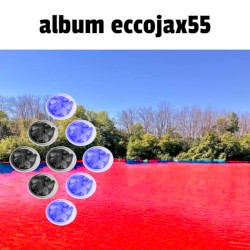 Eccojax55