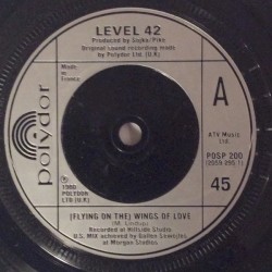 (Flying on the) Wings of Love