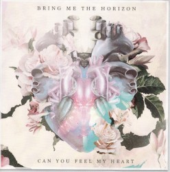 Can You Feel My Heart