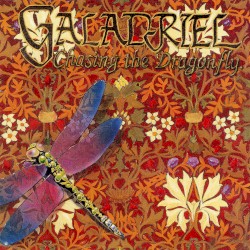 Chasing the Dragonfly