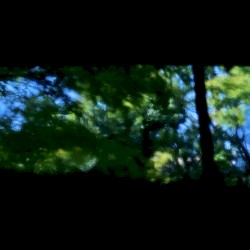 Die Ferne Stimme, Ferner Raum