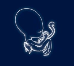 Ágætis byrjun
