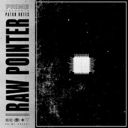Raw Pointer