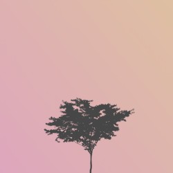 Where Has The Old You Gone