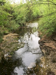 In This Balance of Tunes