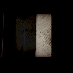 Splintered While Proceeding