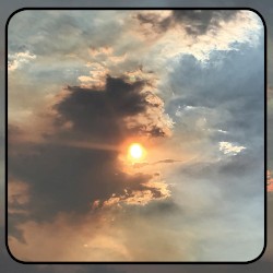 Moonlit Missive #82: 'Morning Song'