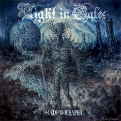 Into the Evergrey