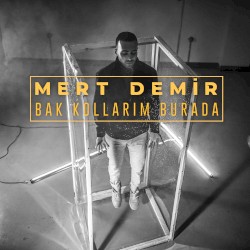 Bak Kollarım Burada