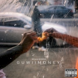GuWiiMoney