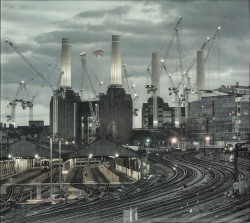 Animals (2018 remix)