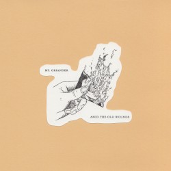 Mt. Oriander/Amid the Old Wounds Split