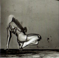 Where Did the Night Fall