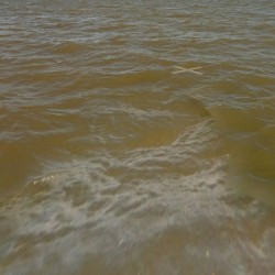 Still Water (F)