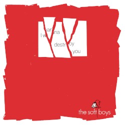 I Wanna Destroy You / Near The Soft Boys