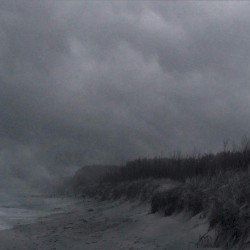 The Critical State of Loneliness