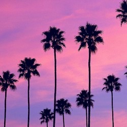 Parallel