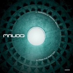 Aerosolid (Medika Rmx) / Free The Past VIP