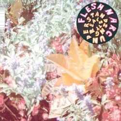 Understanding Reality