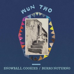 snowball cookies / burro noturno