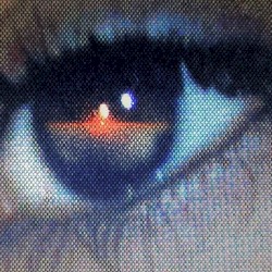 United in Flames 12/04/2023