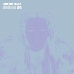 The Days (NOTION remix)