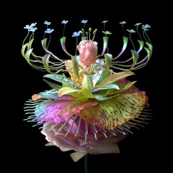 Super Natural (Autoerotique remix)