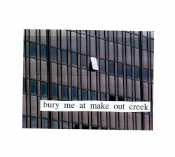 bury me at makeout creek