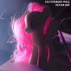 fluttershy will never die
