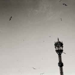 Una mala tarde la tiene cualquiera