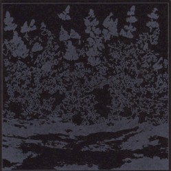 Live at Bottled Smoke