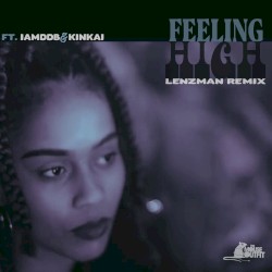Feeling High (Lenzman remix)