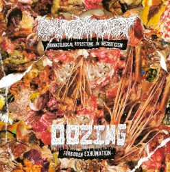 Forbidden Exhumation / Thanatological Reflections on Necroticism