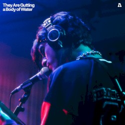 They Are Gutting a Body of Water on Audiotree Live