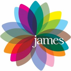 Fresh as a Daisy: The Singles