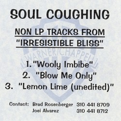 Non LP Tracks From Irresistible Bliss