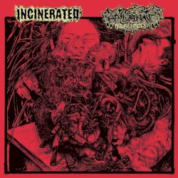 Incinerated / Hallucination Realized
