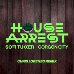 House Arrest (Chris Lorenzo remix)