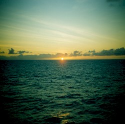 Regret Seems to Last Forever