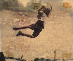 Live At Pinkpop '92