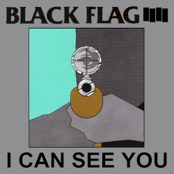 I Can See You