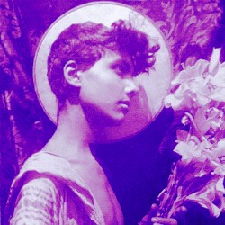 цифровая серенада