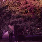 The Inexplicable Feeling of September