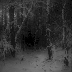 Wanderings Within Forests of Despondency