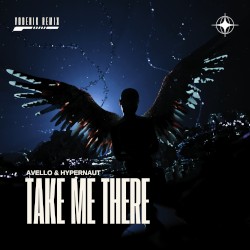 Take Me There (Vodenik remix)