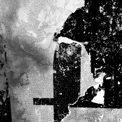 Synchronicity Group b/w Scrape