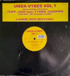 Unda-Vybes Vol 1