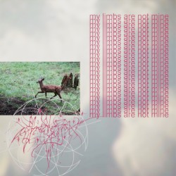 my limbs are not mine