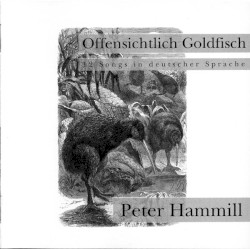 Offensichtlich Goldfisch